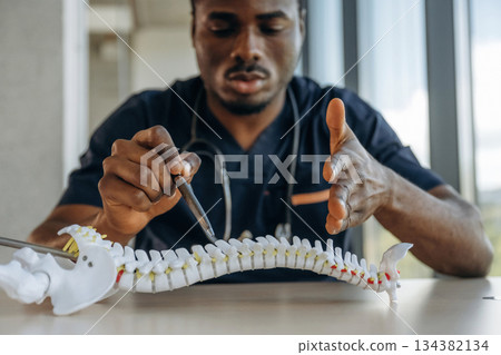 Educational stuff. Model of human spine. Professional doctor is in his office indoors 134382134