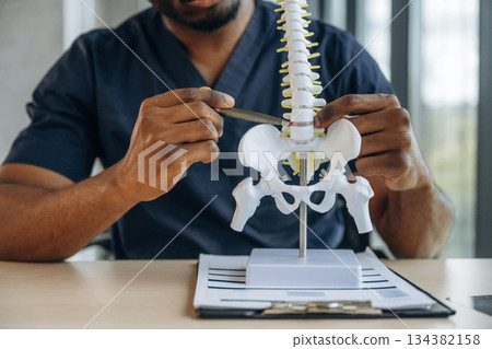 Table with human spine model on it. Professional doctor is in his office indoors 134382158