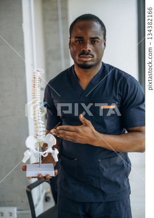 Standing, the model of human spine, back. Professional doctor is in his office indoors Standing, the model of human spine, back. Professional doctor is in his office indoors 134382166