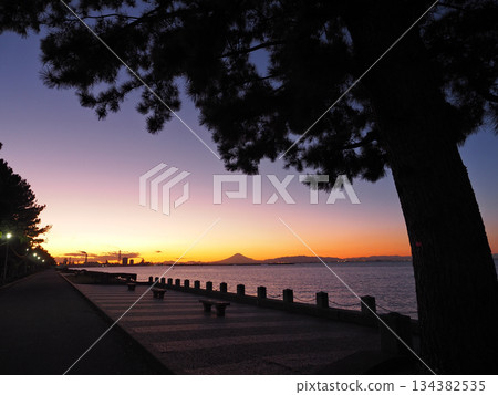 Shiohama Park (Kisarazu City) 134382535