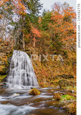 秋日森林中的魚子瀑布（北海道西奧戈佩村） 134382770