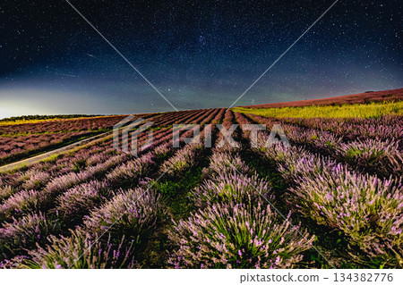繁星點點的薰衣草田 | 北海道日之出公園 134382776