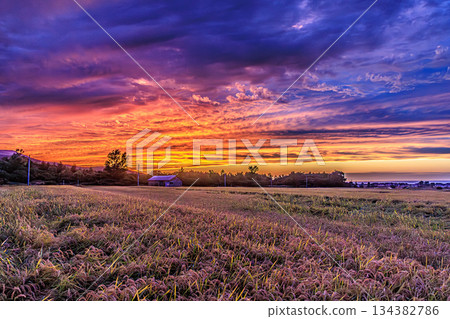Autumn sunset scenery in a rural town where the earth and sky blend together Autumn sunset scenery in a rural town where the earth and sky blend together 134382786
