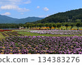  Flower garden 134383276