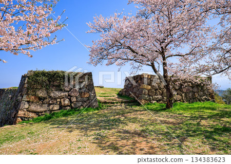 <Tottori Prefecture> Yonago Castle in spring: Stone walls near the Kanbuki-gomon Gate, April 134383623
