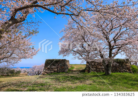 <Tottori Prefecture> Yonago Castle in spring: Stone walls near the Kanbuki-gomon Gate, April <Tottori Prefecture> Yonago Castle in spring: Stone walls near the Kanbuki-gomon Gate, April 134383625