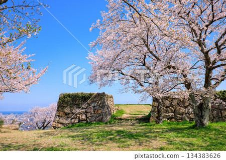 鳥取縣米子城的春天：神舞禦門附近的石牆，四月 134383626