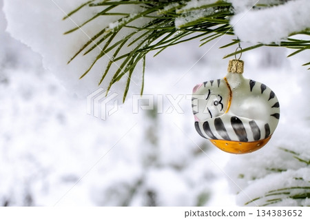 Christmas background with Christmas tree toy of sleeping cat on snow covered pine branch in winter forest, copy space 134383652