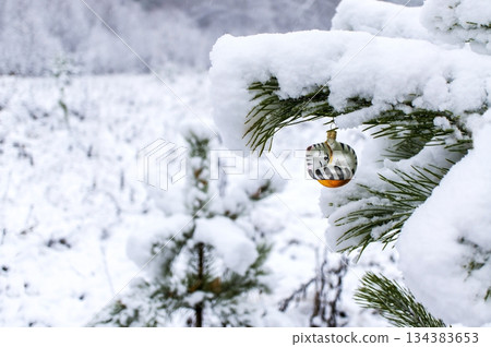 Christmas background with Christmas tree toy of sleeping cat on snow covered pine branch in winter forest, copy space Christmas background with Christmas tree toy of sleeping cat on snow covered pine branch in winter forest, copy space 134383653