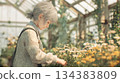 Elderly Woman Tending Flowers in a Sunny Greenhouse 134383809