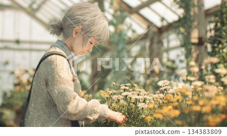 Elderly Woman Tending Flowers in a Sunny Greenhouse 134383809