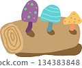 Tree stump and mushroom 134383848