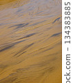 [Tottori] Tottori Sand Dunes: Sand wet with oasis water and sand ripples (Tottori City) 134383885