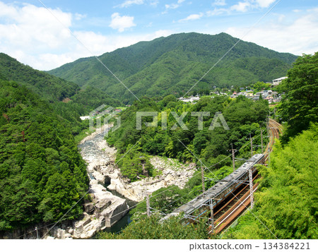A train running through the fresh greenery of Nezame-no-Toko 134384221