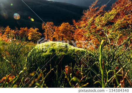 Majestic view of Carpathian mountains, autumn season Majestic view of Carpathian mountains, autumn season 134384340