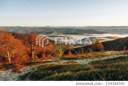 Fog is far away. Majestic view of Carpathian mountains, autumn season Fog is far away. Majestic view of Carpathian mountains, autumn season 134384341