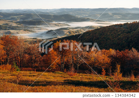 Fog is far away. Majestic view of Carpathian mountains, autumn season Fog is far away. Majestic view of Carpathian mountains, autumn season 134384342