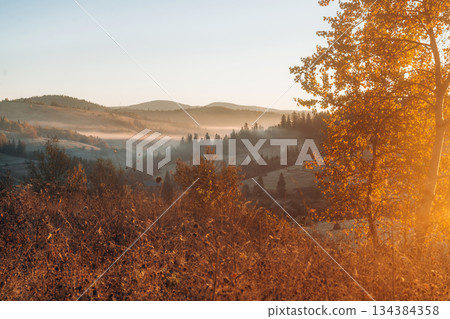 Illuminated by sunlight. Majestic view of Carpathian mountains, autumn season Illuminated by sunlight. Majestic view of Carpathian mountains, autumn season 134384358
