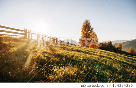 Day sunlight. Majestic view of Carpathian mountains, autumn season Day sunlight. Majestic view of Carpathian mountains, autumn season 134384386