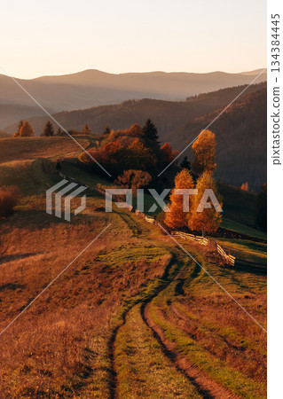 Amazing awe landscape. Majestic view of Carpathian mountains, autumn season 134384445