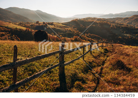 View in the Carpathian mountains of wooden fence, autumn season View in the Carpathian mountains of wooden fence, autumn season 134384459