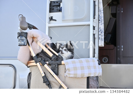 Traveling in a camper with my beloved dog: Chihuahua Traveling in a camper with my beloved dog: Chihuahua 134384482