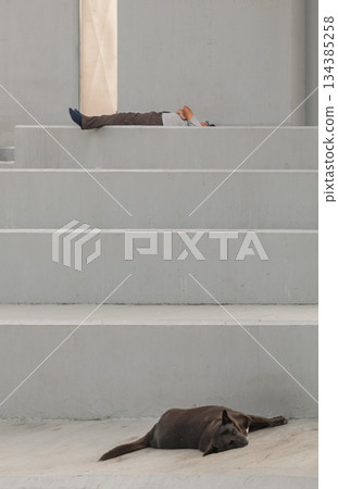 A man lies on the top landing of a set of concrete stairs, while a dark-colored dog lies on the bottom landing. A man lies on the top landing of a set of concrete stairs, while a dark-colored dog lies on the bottom landing. 134385258