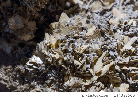 Close macro of desert rose gypsum crystal clusters forming dense rosette texture 134385509