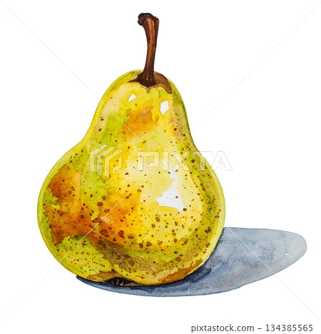 梨子水彩插圖 134385565