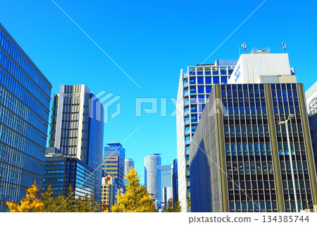 愛知縣名古屋市,櫻通銀杏大道及名古屋站前的摩天大樓景觀 愛知縣名古屋市,櫻通銀杏大道及名古屋站前的摩天大樓景觀 134385744