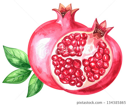 石榴水彩畫 134385865