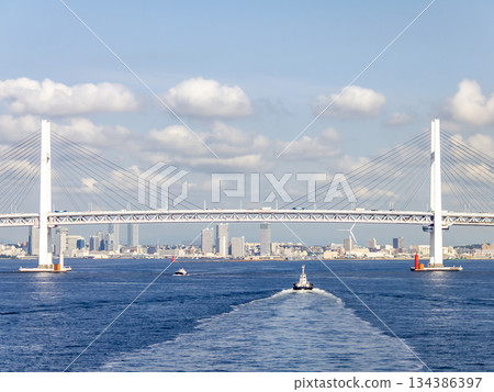 Sunny sea and beautiful bridge architecture and skyline 134386397