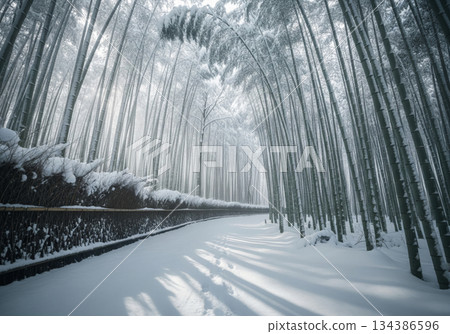 積雪覆蓋的竹林小徑 134386596