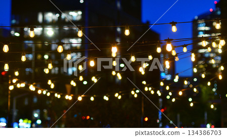 In night the foreground abstract blurred garlands. In the background modern glass office building. Rows of lit windows out the architectural grid of a modern facade. In night the foreground abstract blurred garlands. In the background modern glass office building. Rows of lit windows out the architectural grid of a modern facade. 134386703