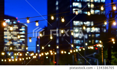 In night the foreground abstract blurred garlands. In the background modern glass office building. Rows of lit windows out the architectural grid of a modern facade. In night the foreground abstract blurred garlands. In the background modern glass office building. Rows of lit windows out the architectural grid of a modern facade. 134386705