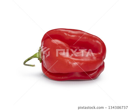 Fresh red habanero chili pepper on white background Fresh red habanero chili pepper on white background 134386737