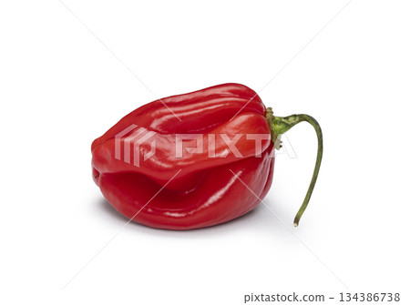Red habanero chili pepper isolated on white Red habanero chili pepper isolated on white 134386738