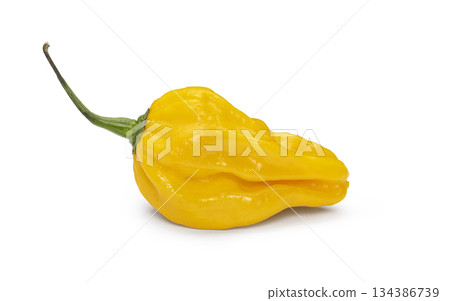Yellow habanero pepper on white with shadow Yellow habanero pepper on white with shadow 134386739