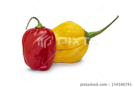 Red and yellow habanero peppers providing spicy flavor 134386741