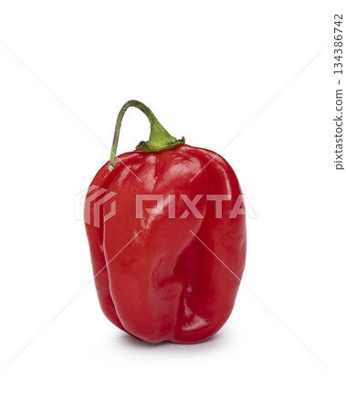 Pepper on white background 134386742