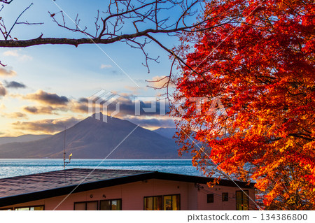 落日餘暉灑在火紅的秋葉和惠庭山上。 落日餘暉灑在火紅的秋葉和惠庭山上。 134386800
