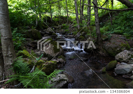 A small river in the forest between the rocks, Georgia A small river in the forest between the rocks, Georgia 134386804
