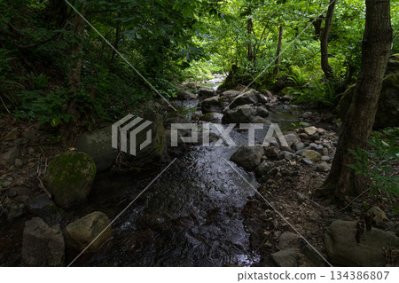 A small river in the forest between the stones, Georgia 134386807