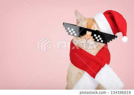 A ginger cat in a New Years costume and glasses A ginger cat in a New Years costume and glasses 134386819