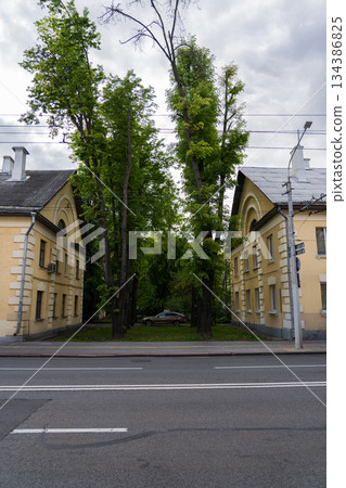 A parked car between tall trees and old houses 134386825