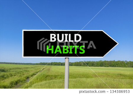Build habits symbol. Concept word Build habits on beautiful black road sign. Beautiful green grass field blue sky background. Business build habits concept. Copy space. 134386953