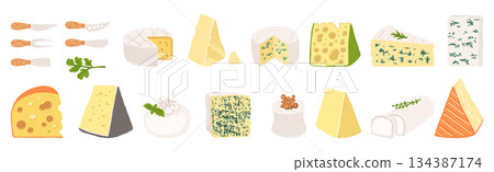 Cartoon style Cheese illustration hand drawn texture different cheese Brie Camembert vector design 134387174