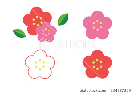 Set of red and white plum blossoms 134387299