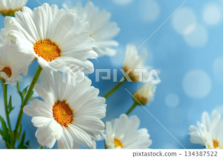 Abstract 3d render platform and mockup natural background, Stone podium on the grass field backdrop meadow mountain for product stand display, advertising or etc 134387522