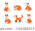 Set of cute cartoon foxes. Funny foxes in different poses. Vector illustration forest animals. 134388323